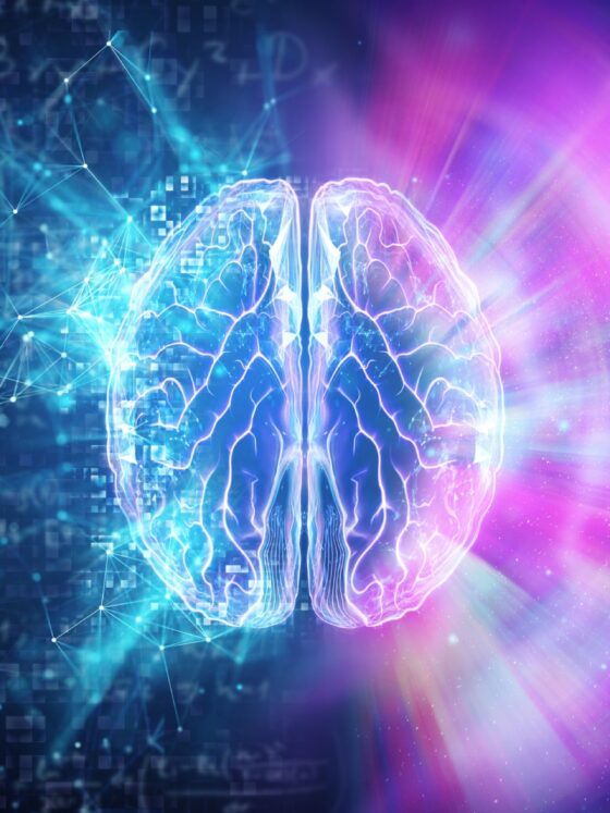 A Guide To Nootropics & Brain Enhancement To Up Your Cognitive Potential