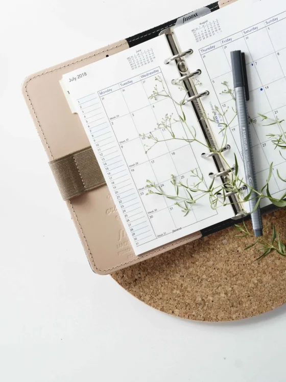 Productivity Unleashed: Dominate Your Goals in 2024 with Proven Tactics